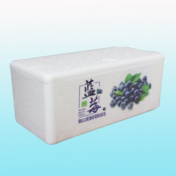 4盒藍(lán)莓泡沫箱